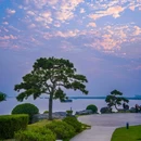 南京夫子庙 - 南京市旅游 缩略图 4