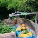 湖州龙出没森林探险漂流游客中心 - 湖州市旅游 缩略图 7