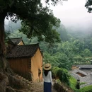 杨家堂村 - 丽水市旅游 缩略图 4