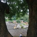杨家堂村 - 丽水市旅游 缩略图 2