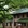 广州市·中山大学(广州校区南校园)