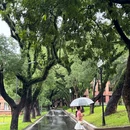 中山大学(广州校区南校园) - 广州市旅游 缩略图 5