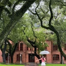 中山大学(广州校区南校园) - 广州市旅游 缩略图 4