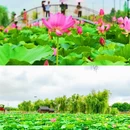 江苏省如东小洋口旅游度假区 - 南通市旅游 缩略图 4