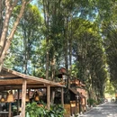 时代星牌台球俱乐部(时代天骄购物广场店) - 南宁市旅游 缩略图 4