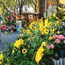 时代星牌台球俱乐部(时代天骄购物广场店) - 南宁市旅游 缩略图 8