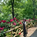 牛记庵古村落 - 淄博市旅游 缩略图 5