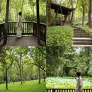 珠江公园 - 广州市旅游 缩略图 1