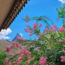 余荫山房 - 广州市旅游 缩略图 9