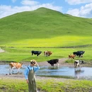 呼伦贝尔大草原 - 呼伦贝尔市旅游 缩略图 6