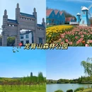 宜兴龙背山森林公园 - 无锡市旅游 缩略图 7