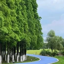 宜兴龙背山森林公园 - 无锡市旅游 缩略图 1