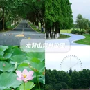 宜兴龙背山森林公园 - 无锡市旅游 缩略图 2