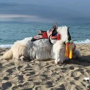 青海湖二郎剑景区 - 海南藏族自治州旅游 缩略图 5