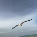 青海湖二郎剑景区 - 海南藏族自治州旅游 缩略图 8
