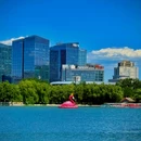 北京国际鲜花港 - 北京市旅游 缩略图 2