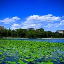北京国际鲜花港 - 北京市旅游 缩略图 4