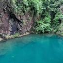 大奇山国家森林公园 - 杭州市旅游 缩略图 5