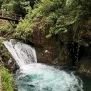 大奇山国家森林公园 - 杭州市旅游 缩略图 2