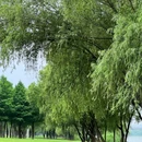 万景园 - 南京市旅游 缩略图 7