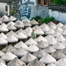 沈荡镇 - 嘉兴市旅游 缩略图 4