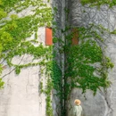 沈荡镇 - 嘉兴市旅游 缩略图 7