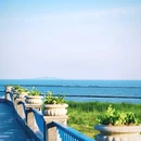 玉兰台 - 合肥市旅游 缩略图 6