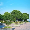 玉兰台 - 合肥市旅游 缩略图 8