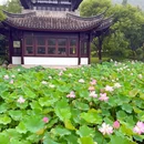 湘湖旅游度假区-荷花庄 - 杭州市旅游 缩略图 4
