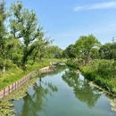 南旱河滨水绿廊 - 北京市旅游 缩略图 4