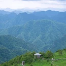 陕西紫柏山国家森林公园 - 汉中市旅游 缩略图 6
