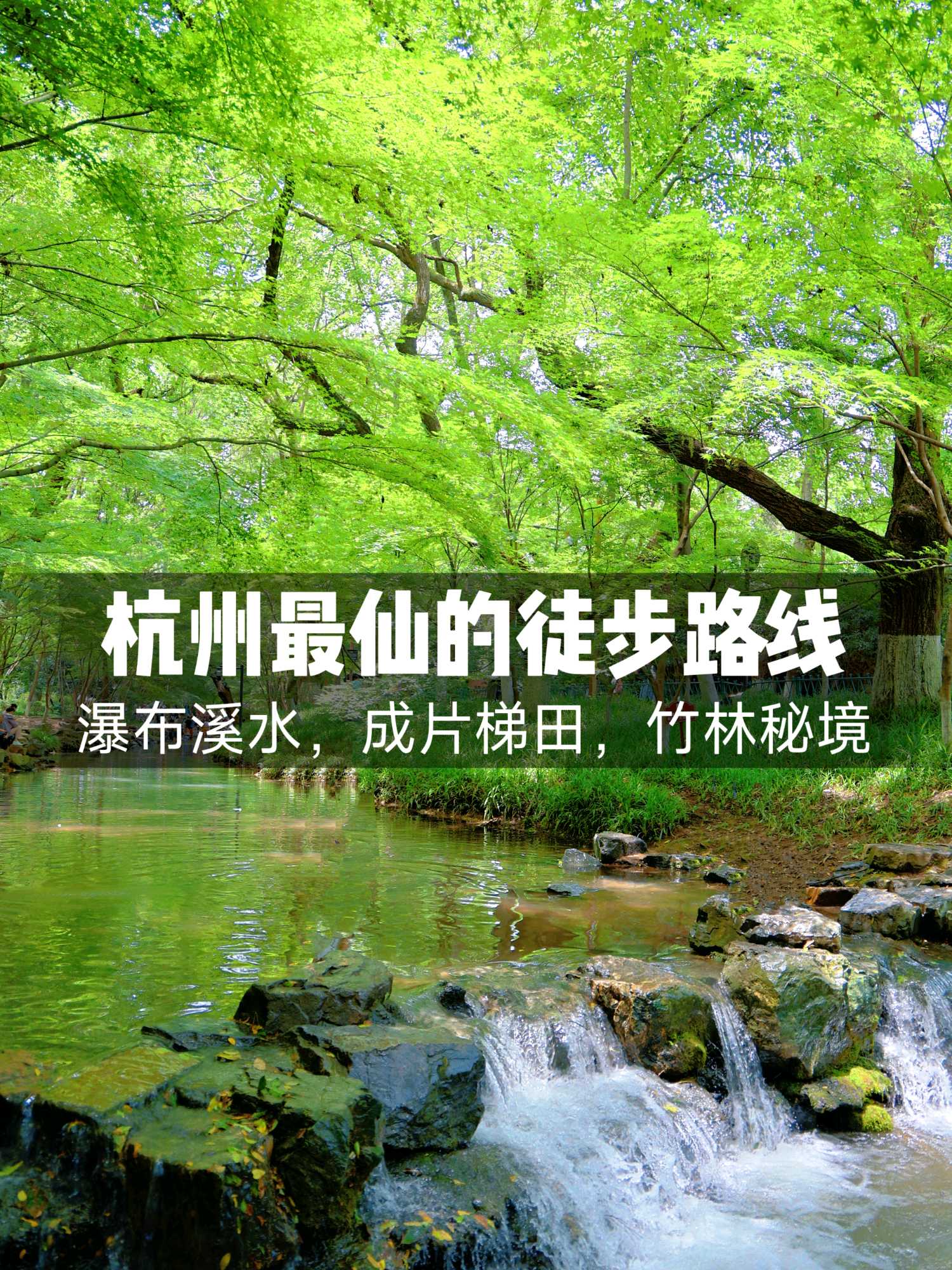 九溪烟树 - 杭州市旅游