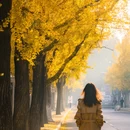 南京旅游 缩略图 5