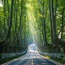 南京旅游 缩略图 9
