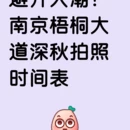 南京旅游 缩略图 3