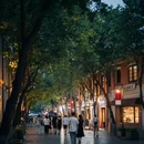 郑州旅游 缩略图 9