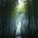 舟山旅游 缩略图 9