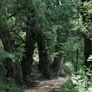 拦马墙 - 广元市旅游 缩略图 1