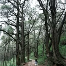 拦马墙 - 广元市旅游 缩略图 3