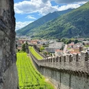 贝林佐纳 - 瑞士旅游 缩略图 4