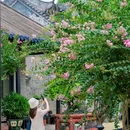 余荫山房 - 广州市旅游 缩略图 6