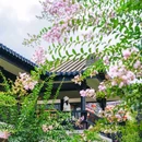 余荫山房 - 广州市旅游 缩略图 7
