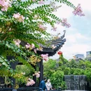 余荫山房 - 广州市旅游 缩略图 4