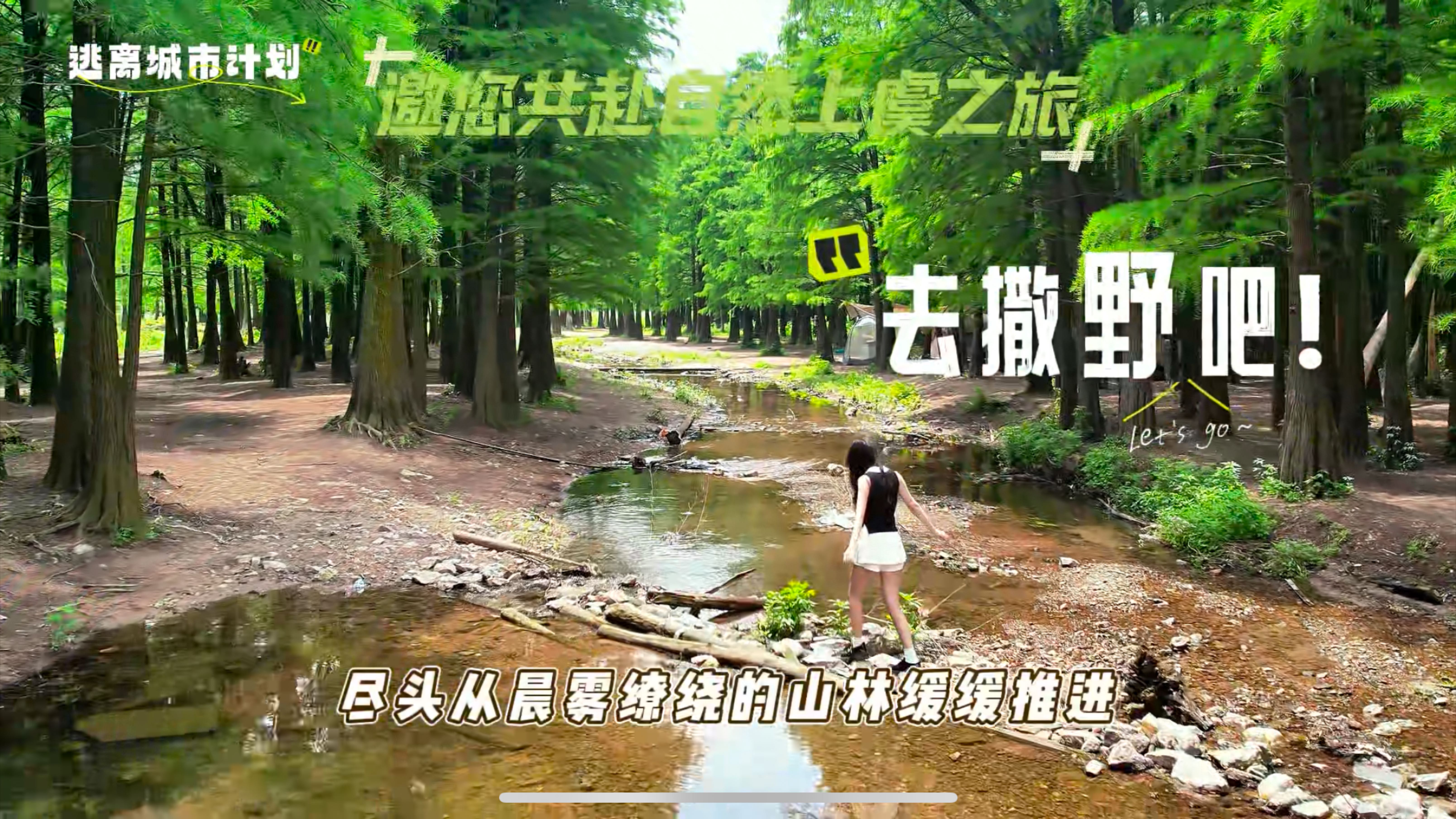 石井水库 - 绍兴市旅游