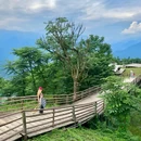 悦山青云.山顶营地 - 阿坝藏族羌族自治州旅游 缩略图 5