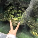 长沙北辰三角洲大悦城 - 长沙市旅游 缩略图 2