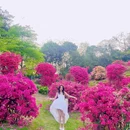 云萝植物园 - 广州市旅游 缩略图 4