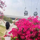 云萝植物园 - 广州市旅游 缩略图 5