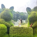 云萝植物园 - 广州市旅游 缩略图 7
