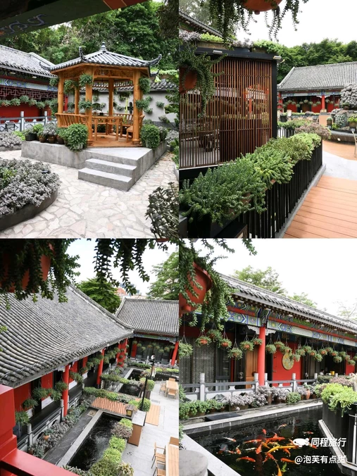 臻品潮菜 - 深圳市旅游